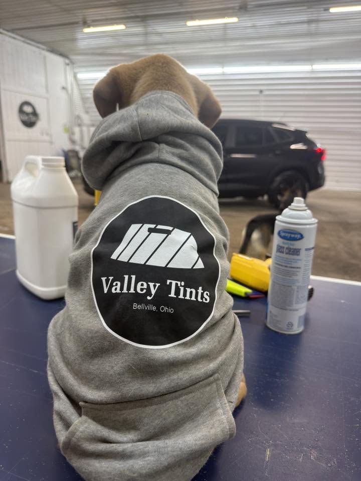 Cooper wearing his Valley Tints hoodie in the shop